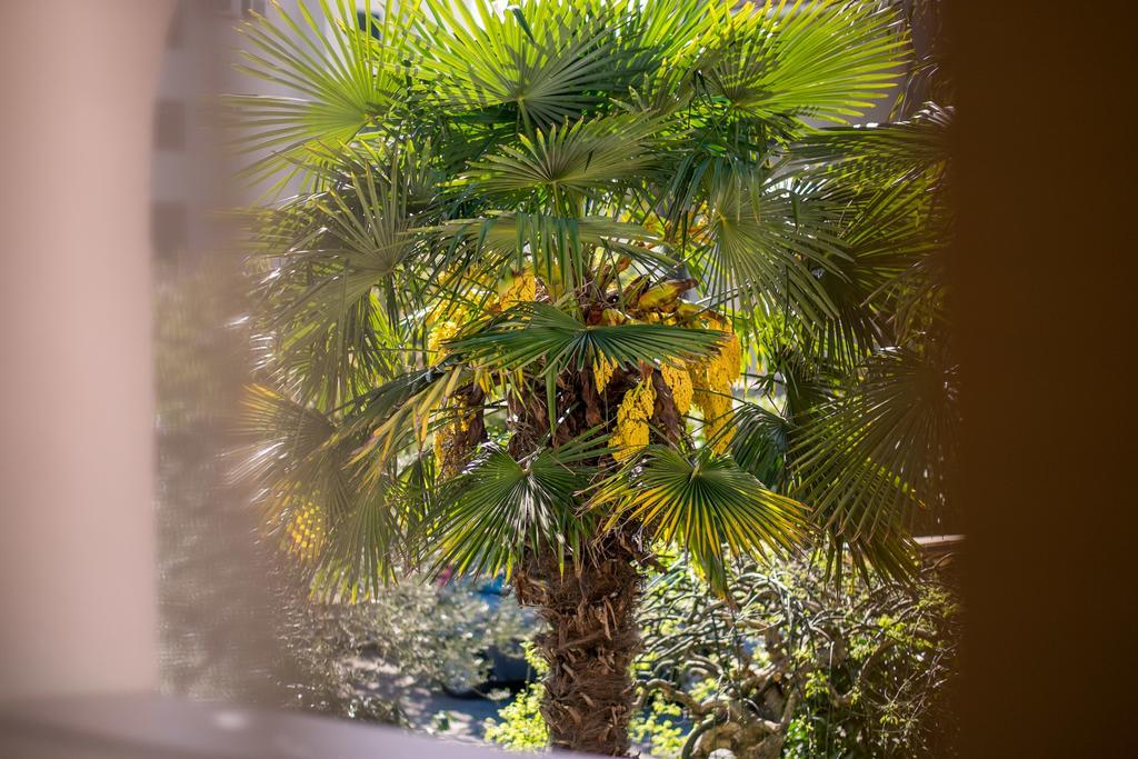 Palma Apartment Malinska